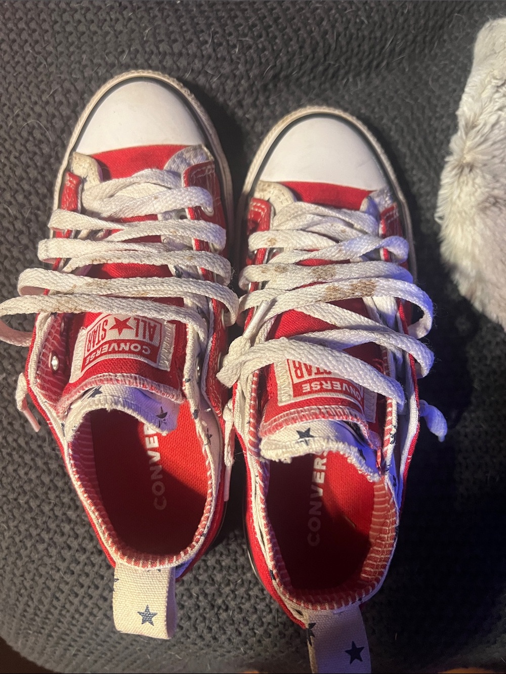 Converse Kids Red Canvas Chuck Taylor All Star Sneakers